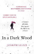 Cover-Bild zum Titel 'In a Dark Wood' von 'Joseph Luzzi'