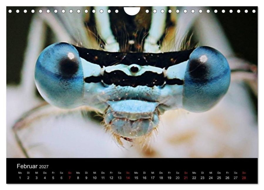 InsideView 7