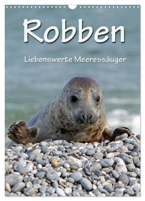 Robben (Wandkalender 2024 DIN A3 hoch), CALVENDO Monatskalender - Martina Berg
