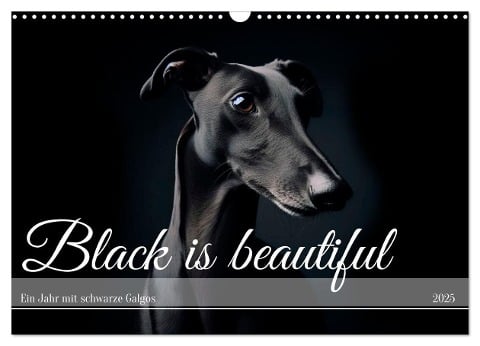 Black is beautiful (Wandkalender 2025 DIN A3 quer), CALVENDO Monatskalender - Andrea Redecker