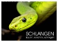 Schlangen. Lauern, kriechen, schlingen (Wandkalender 2024 DIN A2 quer), CALVENDO Monatskalender - Rose Hurley