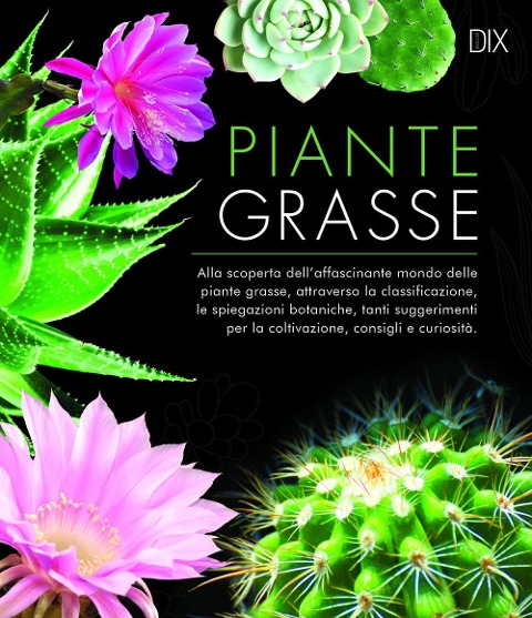 Piante grasse - 