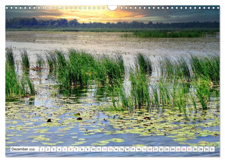 InsideView 4