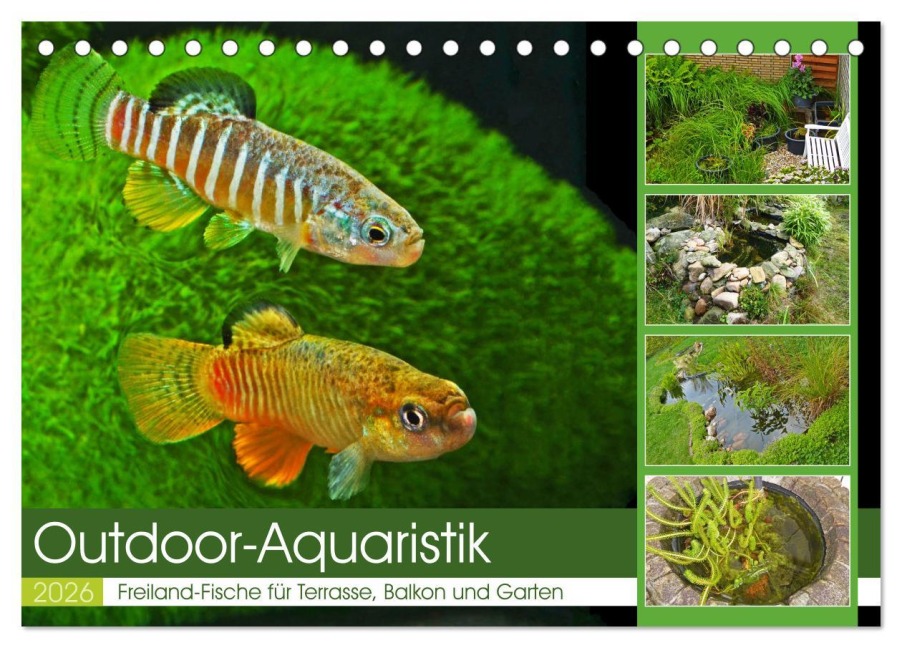 Outdoor-Aquaristik (Tischkalender 2026 DIN A5 quer), CALVENDO Monatskalender - Rudolf Pohlmann