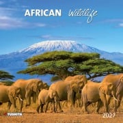 Cover-Bild zum Titel 'African Wildlife 2027' von ''