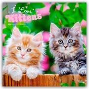Cover-Bild zum Titel 'I Love Kittens - Ich liebe Katzenbabys 2026 - 16-Monatskalender' von 'Browntrout Publishers'