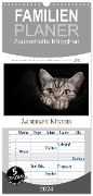 Familienplaner 2024 - Zauberhafte Kätzchen mit 5 Spalten (Wandkalender, 21 x 45 cm) CALVENDO - Martina Wrede