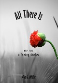 Cover-Bild zum Titel 'All There Is - Book 4 - A Fleeting Shadow' von 'Rita Willsher'