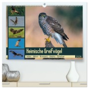 Heimische GREIFVÖGEL Adler Milan Bussard Weihe Sperber (hochwertiger Premium Wandkalender 2026 DIN A2 quer), Kunstdruck in Hochglanz - Arne Wünsche