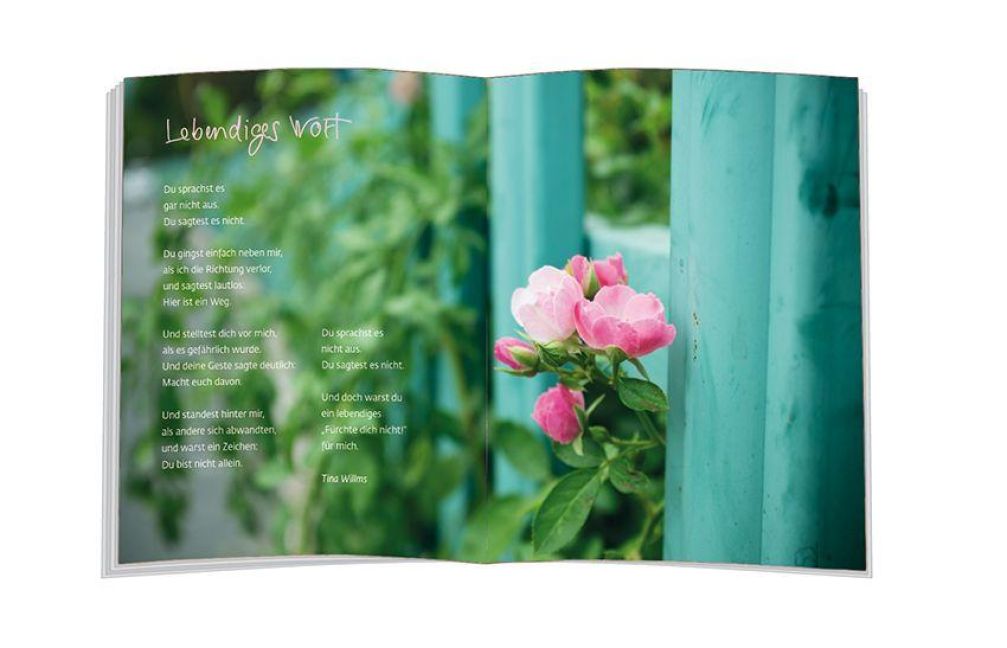 InsideView 1