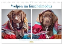 Welpen im Kuschelmodus - Herzerwärmende kleine Labrador Retriever (Wandkalender 2025 DIN A3 quer), CALVENDO Monatskalender - Fotodesign Verena Scholze