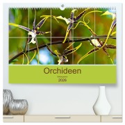 Orchideen Bildergalerie (hochwertiger Premium Wandkalender 2026 DIN A2 quer), Kunstdruck in Hochglanz - Nina Schwarze