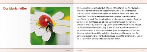 InsideView 2