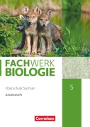 Cover-Bild zum Titel 'Fachwerk Biologie - Sachsen. 5. Schuljahr - neuer Lehrplan - Arbeitsheft - Neubearbeitung' von 'Adria Wehser'