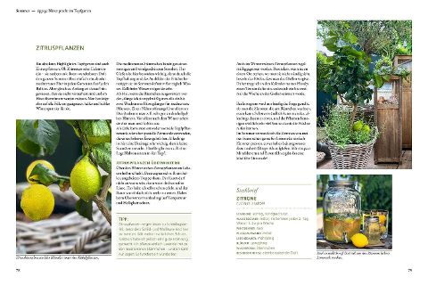 InsideView 4