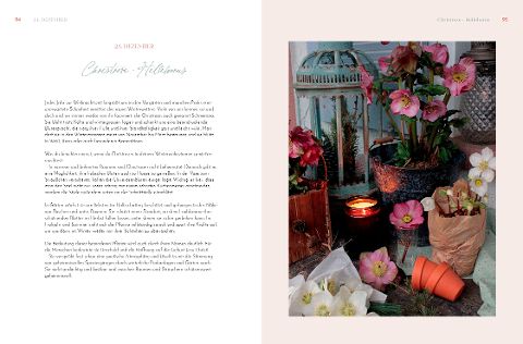 InsideView 12