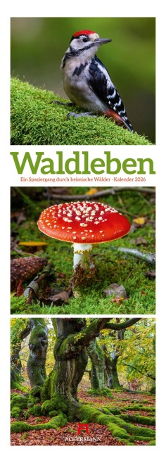 Waldleben Triplet-Kalender 2026 | Spaziergang durch heimische Wälder - 