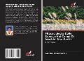 Cover-Bild zum Titel 'Fitosociologia Delle Erbacce Nei Campi Di Arachidi Non Gestit' von 'Saritha Pendlikatla'