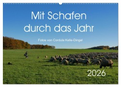 Mit Schafen durch das Jahr (Wandkalender 2026 DIN A2 quer), CALVENDO Monatskalender - CoKeDi-Photographie Kelle-Dingel