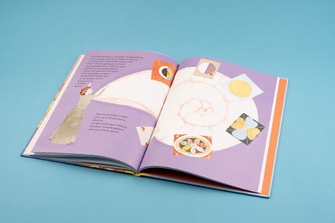 InsideView 6
