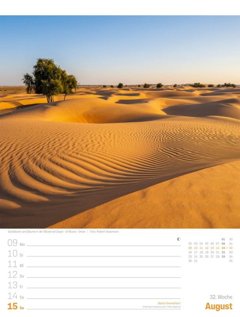 InsideView 36