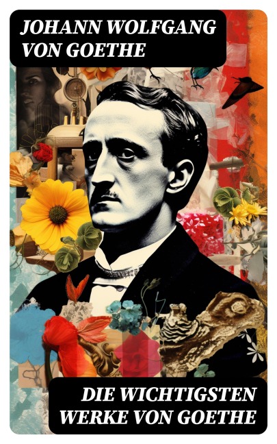 Die wichtigsten Werke von Goethe - Johann Wolfgang von Goethe