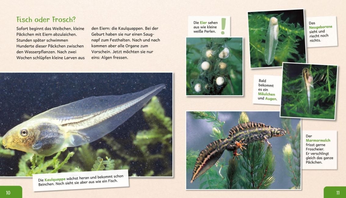 InsideView 3