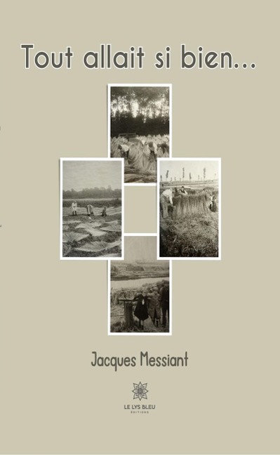 Tout allait si bien... - Jacques Messiant