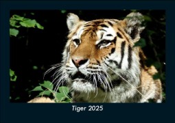 Cover-Bild zum Titel 'Tiger 2025 Fotokalender DIN A5' von 'Tobias Becker'