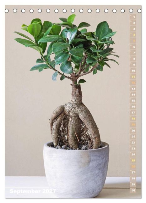 InsideView 14