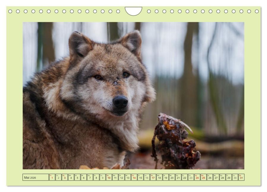 InsideView 10