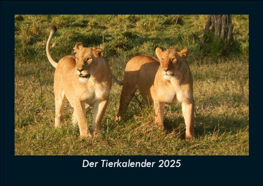 Der Tierkalender 2025 Fotokalender DIN A5 - Tobias Becker