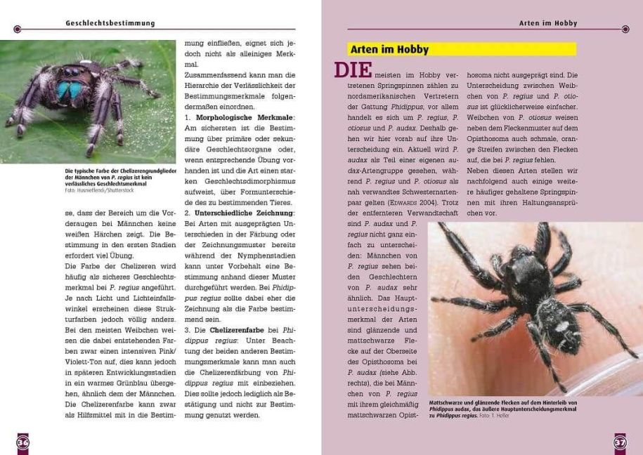 InsideView 2