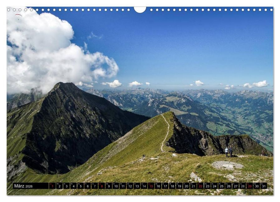 InsideView 8