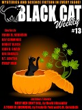 Cover-Bild zum Titel 'Black Cat Weekly #13' von 'Frederik Pohl, Frank M. Robinson, David Alexander, R. T. Lawton, Ray Cummings'