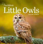 Cover-Bild zum Titel 'Audubon Little Owls Mini Wall Calendar 2026' von 'Workman Calendars'