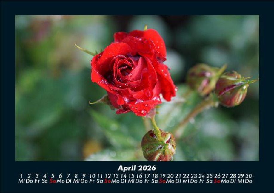 InsideView 8