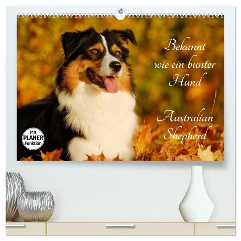 Bekannt wie ein bunter Hund. Australian Shepherd (hochwertiger Premium Wandkalender 2025 DIN A2 quer), Kunstdruck in Hochglanz - Sigrid Starick
