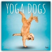 Cover-Bild zum Titel 'Yoga Dogs - Hunde Yoga 2026 - 16-Monatskalender' von 'Browntrout Publishers'