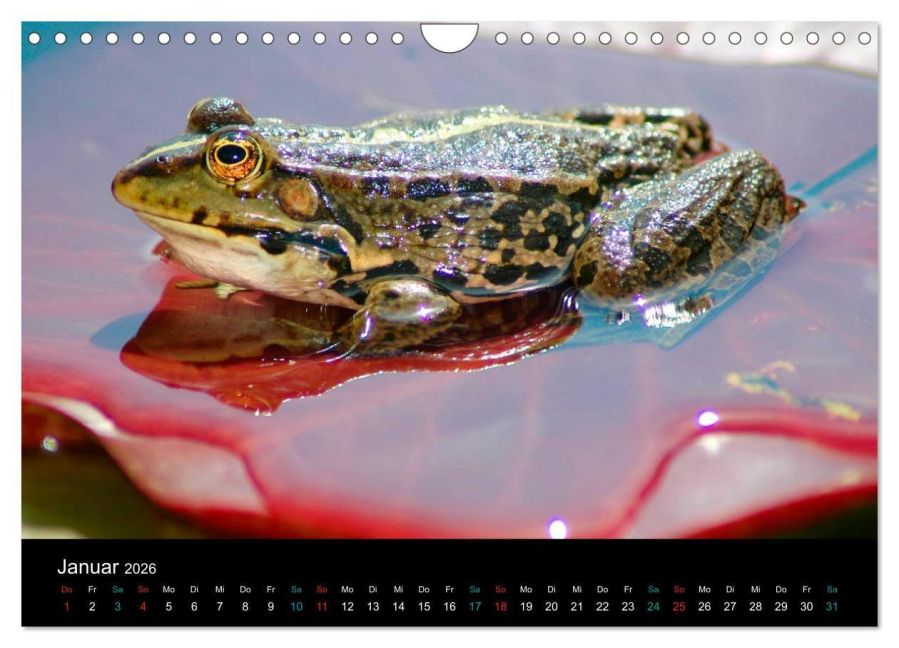InsideView 6