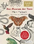 Cover-Bild zum Titel 'Das Museum der Tiere. Mein Malbuch' von 'Katie Scott'