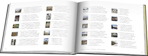 InsideView 10