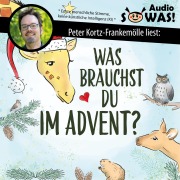 Cover-Bild zum Titel 'Was brauchst du im Advent?' von 'Sigrun Eder, Hanna Grubhofer'