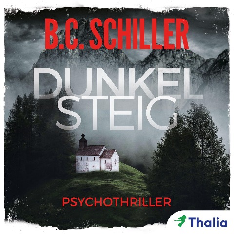 Dunkelsteig (Bd. 1) - B. C. Schiller