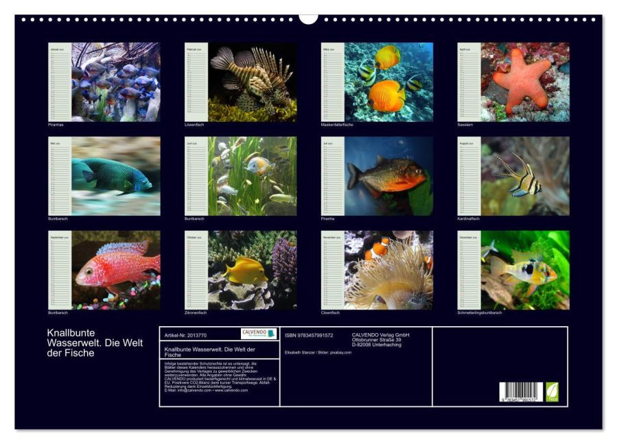 InsideView 5
