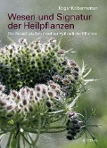 Cover-Bild zum Titel 'Wesen und Signatur der Heilpflanzen' von 'Roger Kalbermatten'