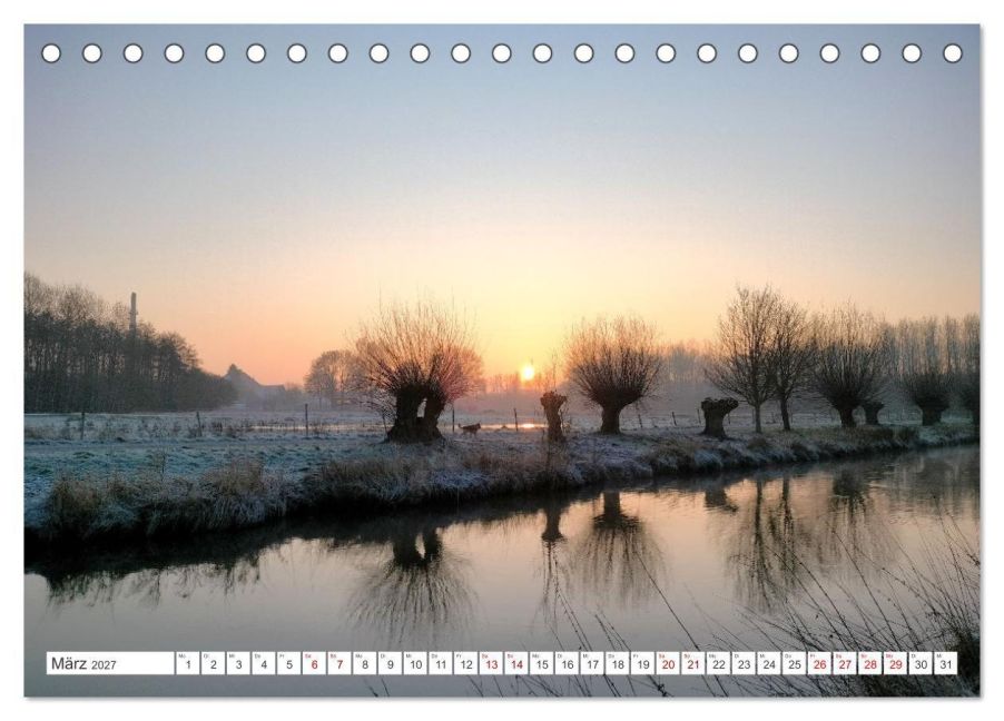 InsideView 8