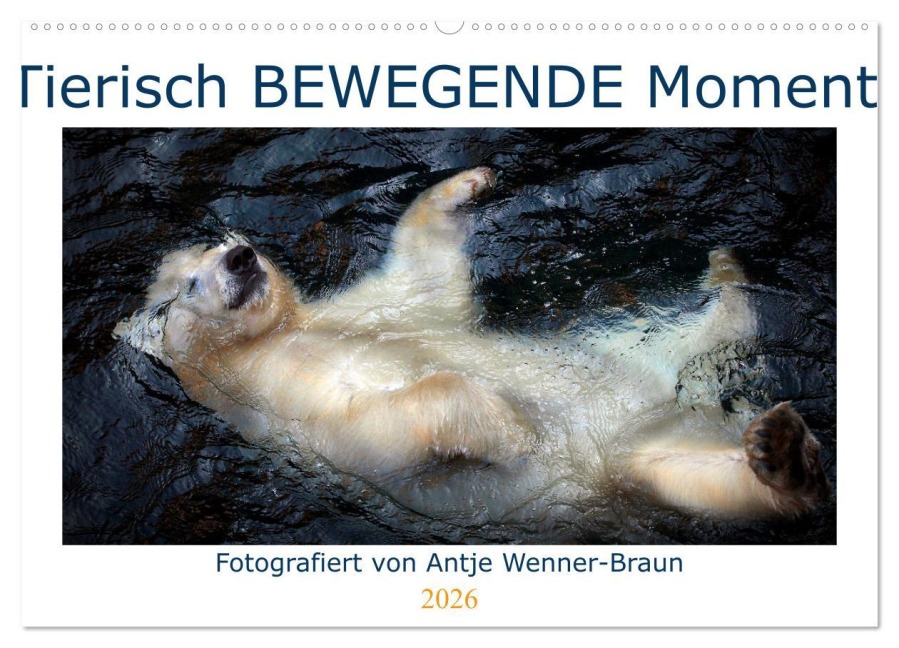 Tierisch BEWEGENDE Momente (Wandkalender 2026 DIN A2 quer), CALVENDO Monatskalender - Antje Wenner-Braun