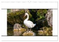 Vögel am Wasser entdecken (Wandkalender 2024 DIN A3 quer), CALVENDO Monatskalender - Teresa Bauer