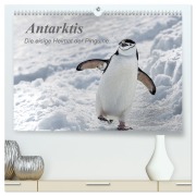 Antarktis, die eisige Heimat der Pinguine (hochwertiger Premium Wandkalender 2026 DIN A2 quer), Kunstdruck in Hochglanz - Michèle Junio